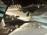 Medieval Currency in the Hanseatic League