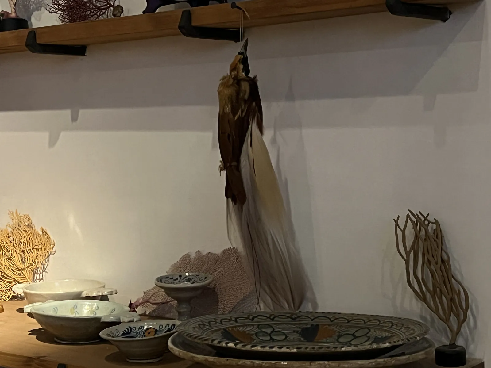 Коллекция диковин Рембрандта