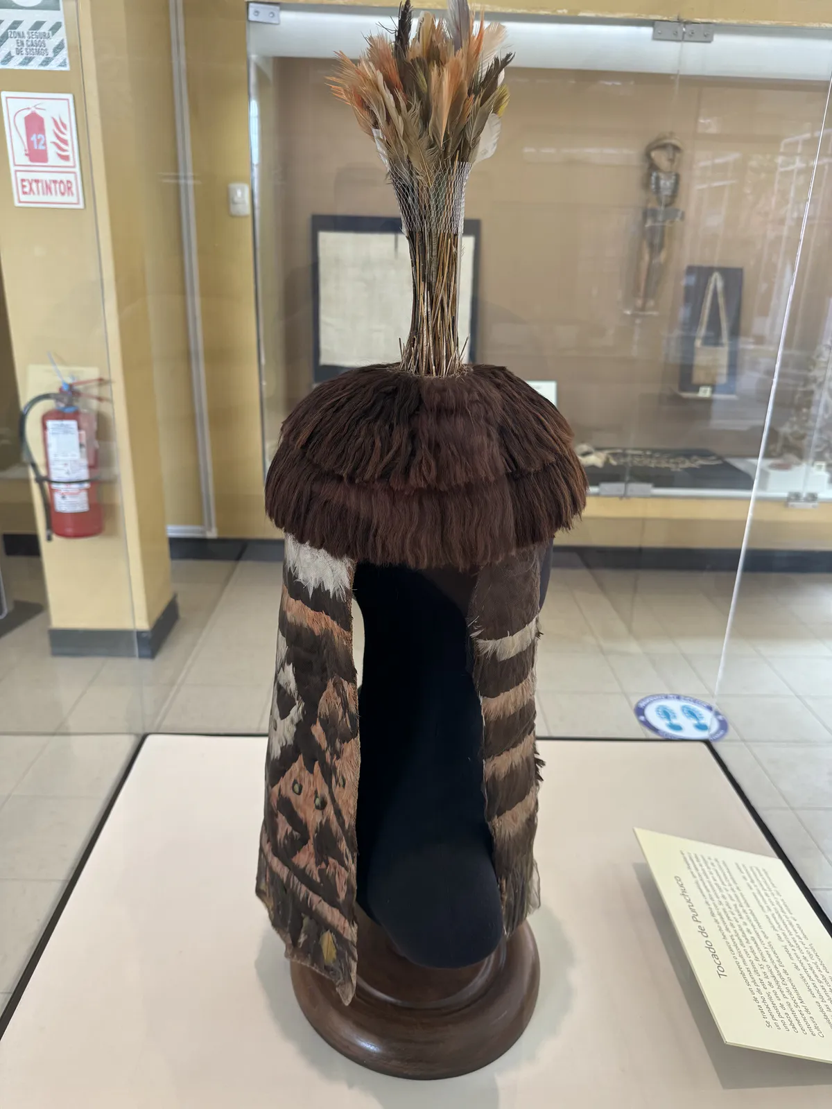 غطاء رأس بريشي