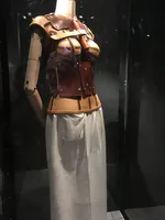 Painted Orthopedic Corset