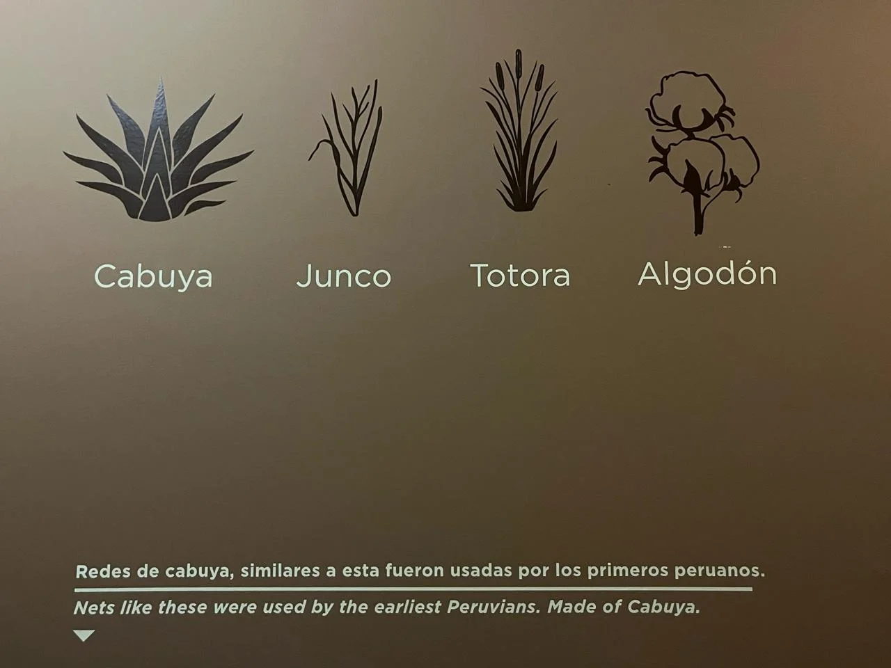 ألياف نسيجية من البيرو القديمة