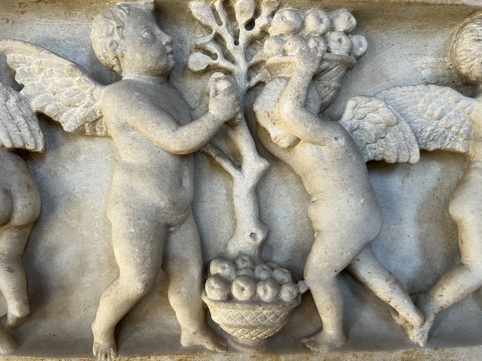 Winged Putti Harvesting Fruit
