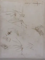 Studies of Wings and Mechanical Anatomy