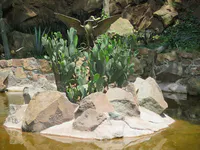 Eagle on Cactus Sculpture