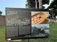 Reconstruction of Dolia Transport