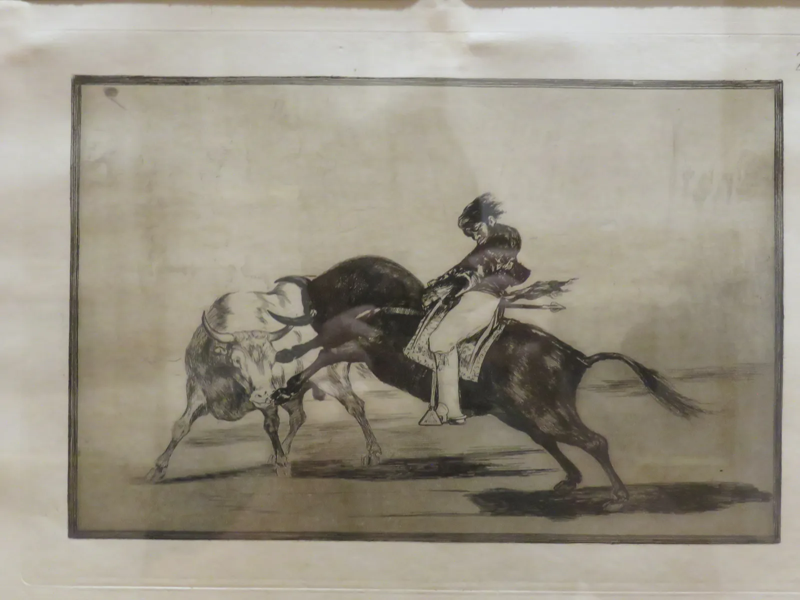 ماريانو سيباليوس يقتل الثور