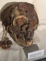 Nasca Trophy Head with Spines