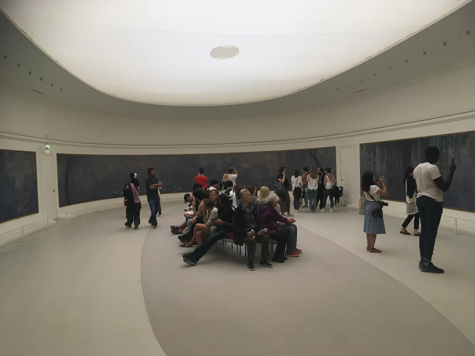 Water Lilies (Nymphéas)