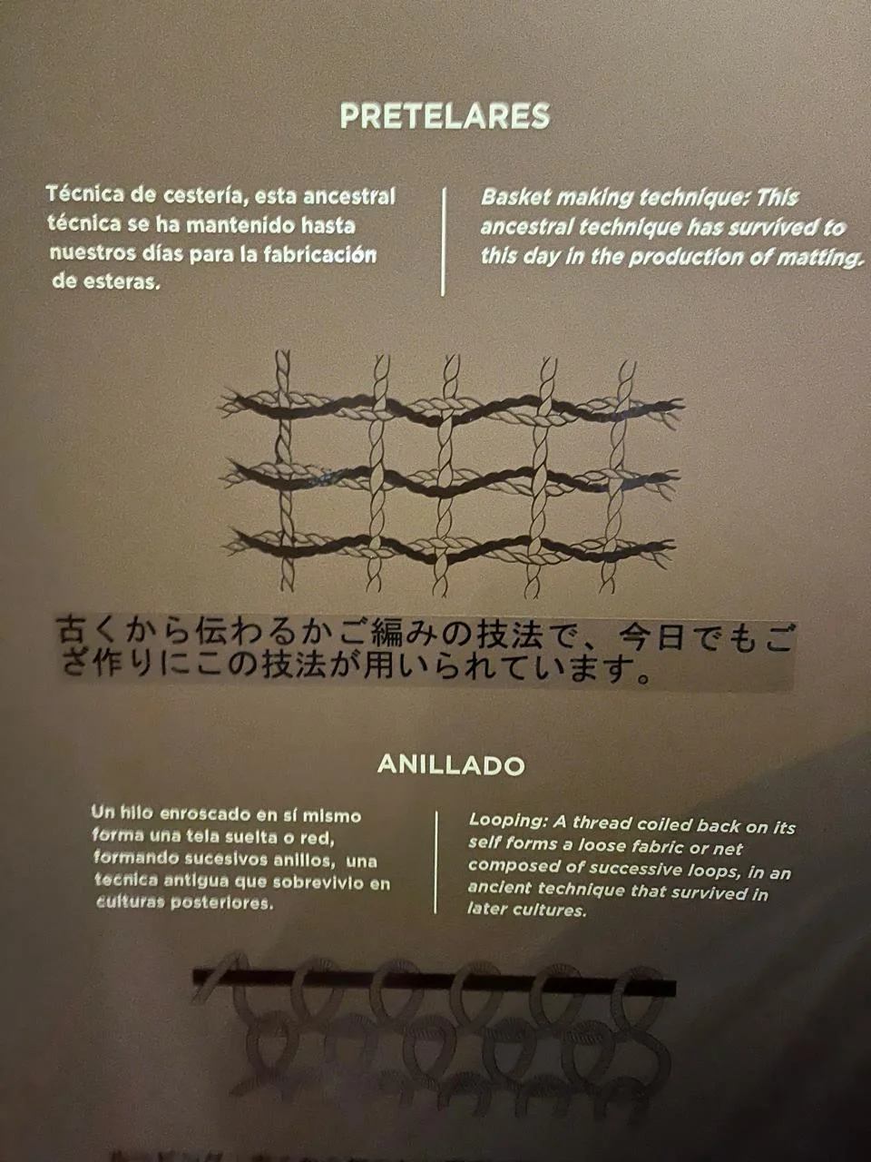 النسج والتضفير الحلقي