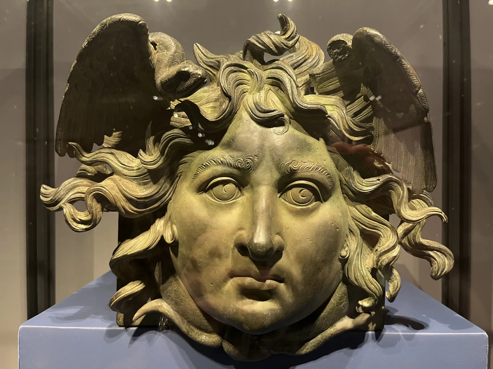 Head of Medusa