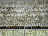 Museo de Arte Moderno