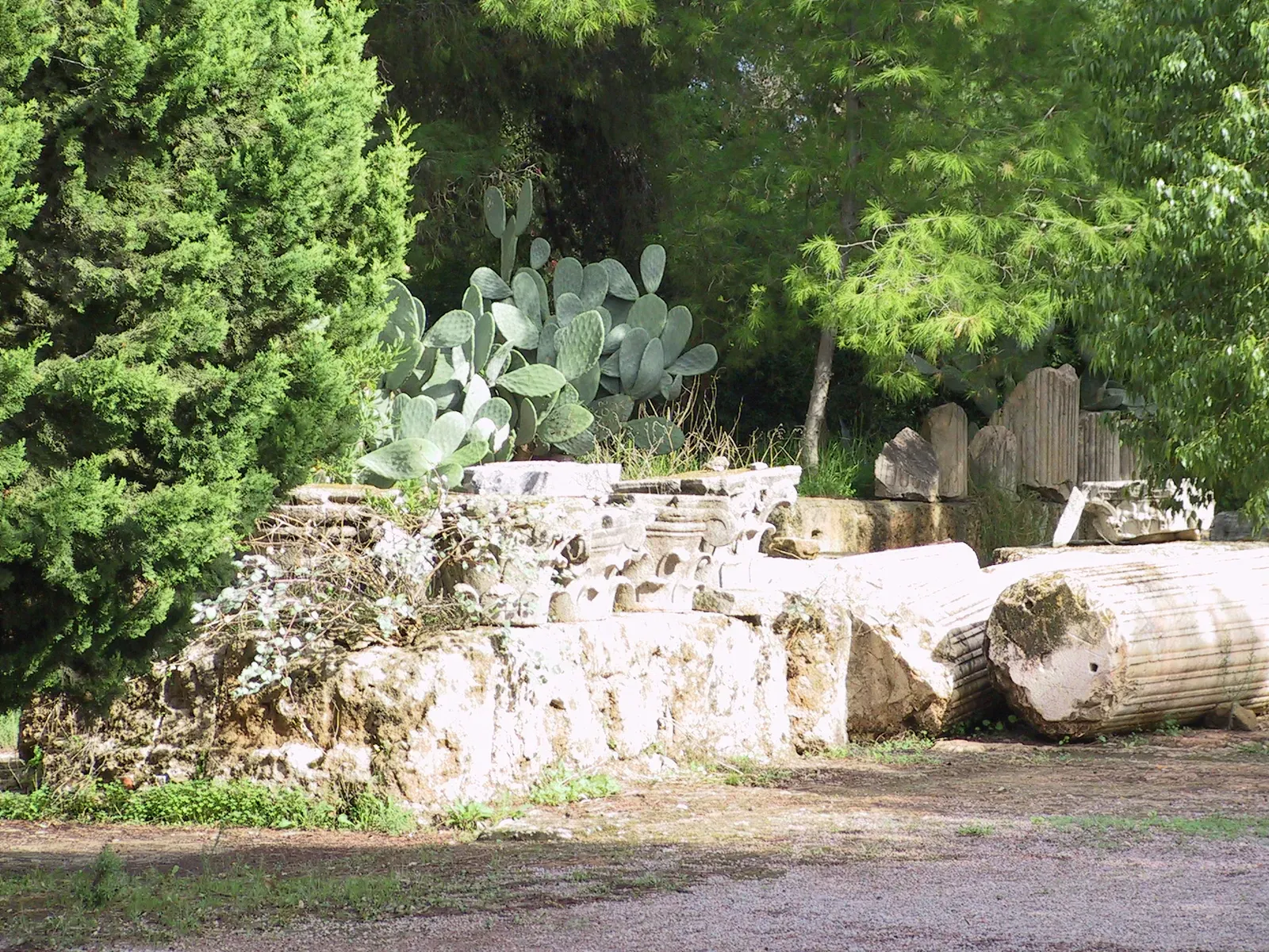 Korinthische Kapitelle und kannelierte Säule