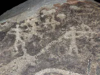 Hunting with Tamed Snow Leopards