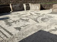 Mosaic of the Terme dei Cisiarii