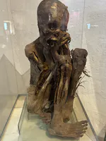 Momie précolombienne en position fœtale