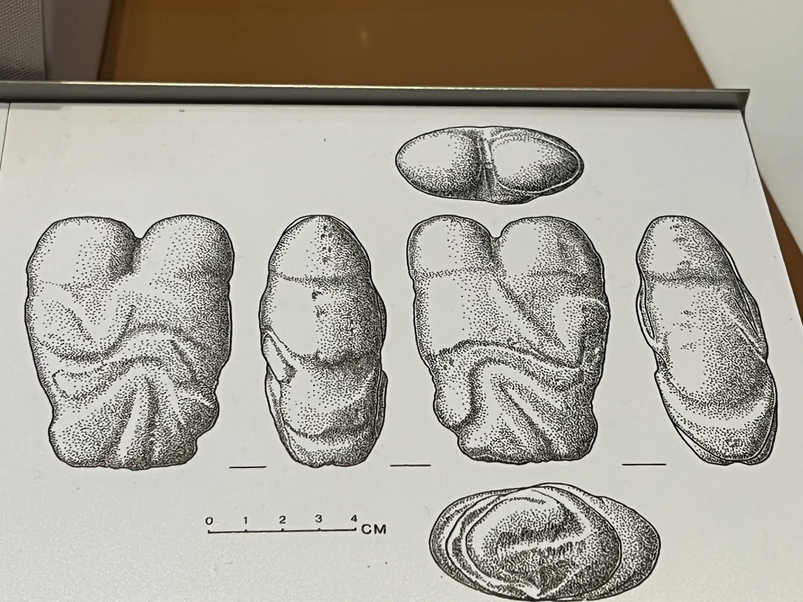 Ain Sakhri Lovers Figurine Views