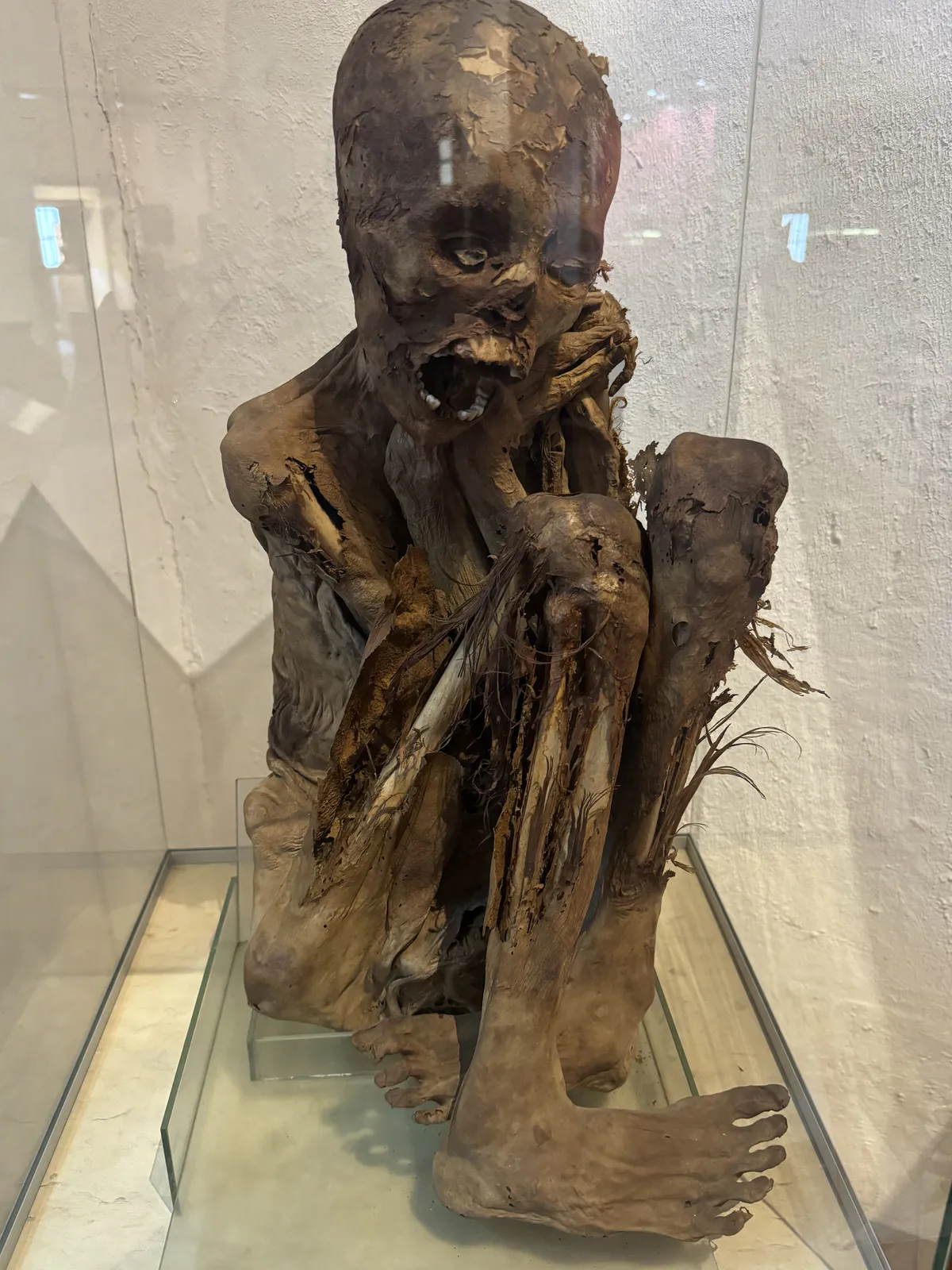 Momie précolombienne en position fœtale