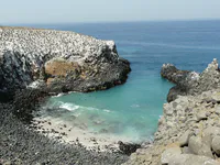 Cormorant Colony Cove