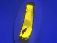 Amber with Leaf Inclusion under UV Light