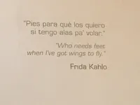 Who Needs Feet When I’ve Got Wings to Fly