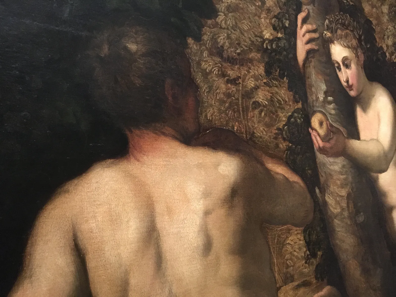 Tintoretto, O Nascimento de um Gênio