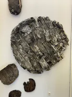 Birch Bark Lid and Fragments