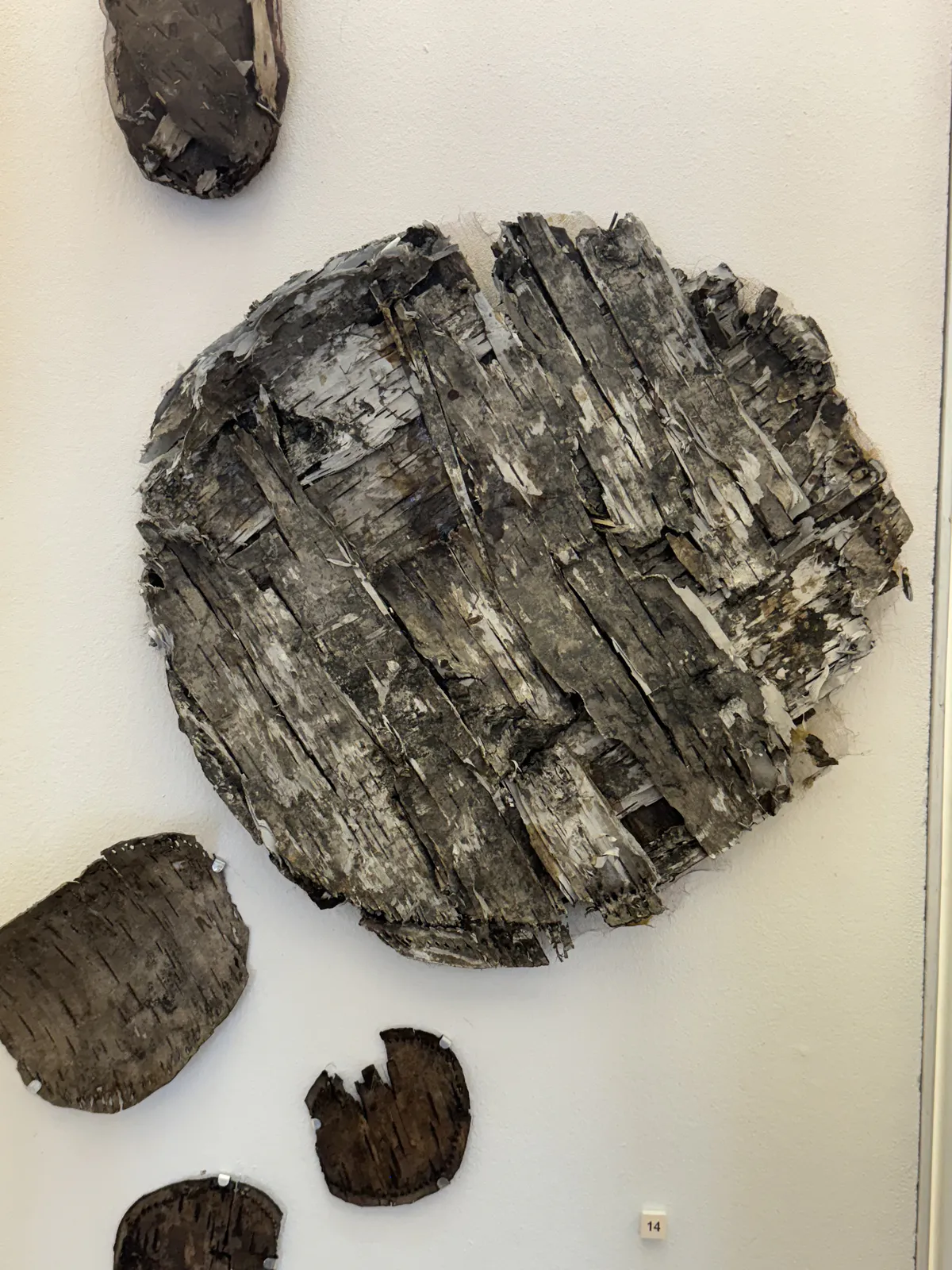 Birch Bark Lid and Fragments