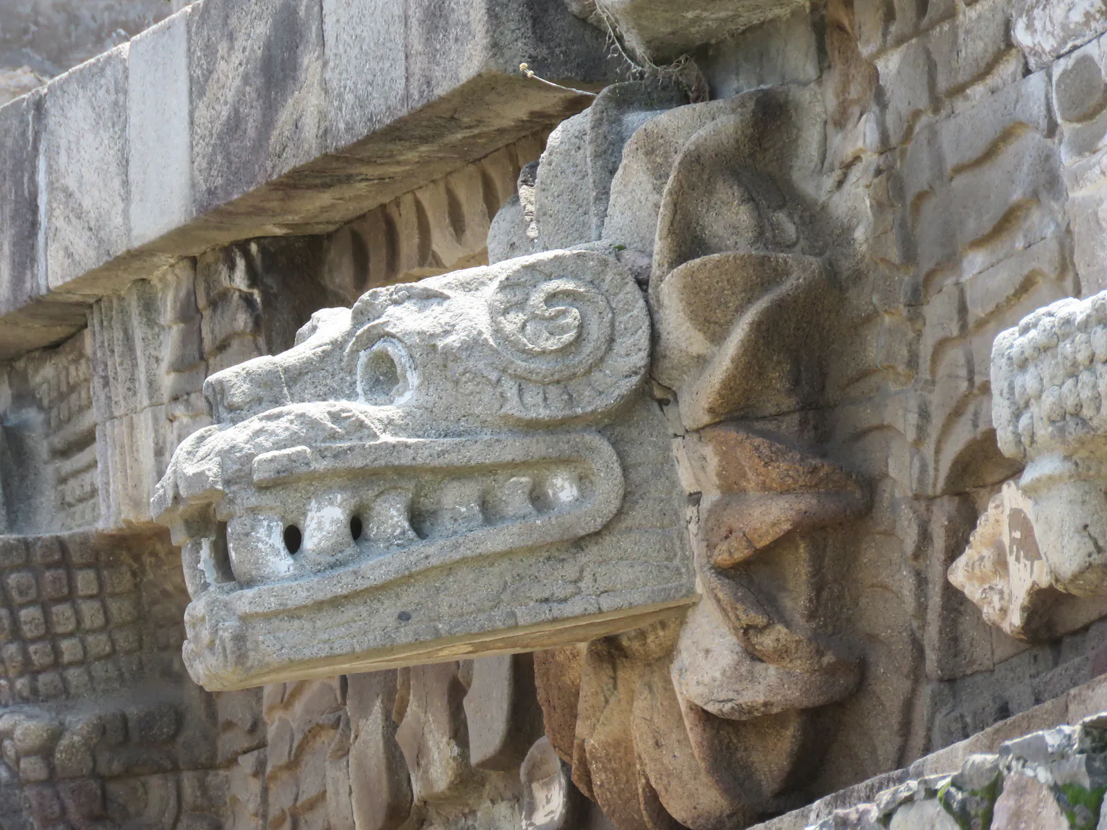 渦巻く視線を持つ羽毛の蛇