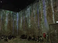 Immersive Birch Forest Projection