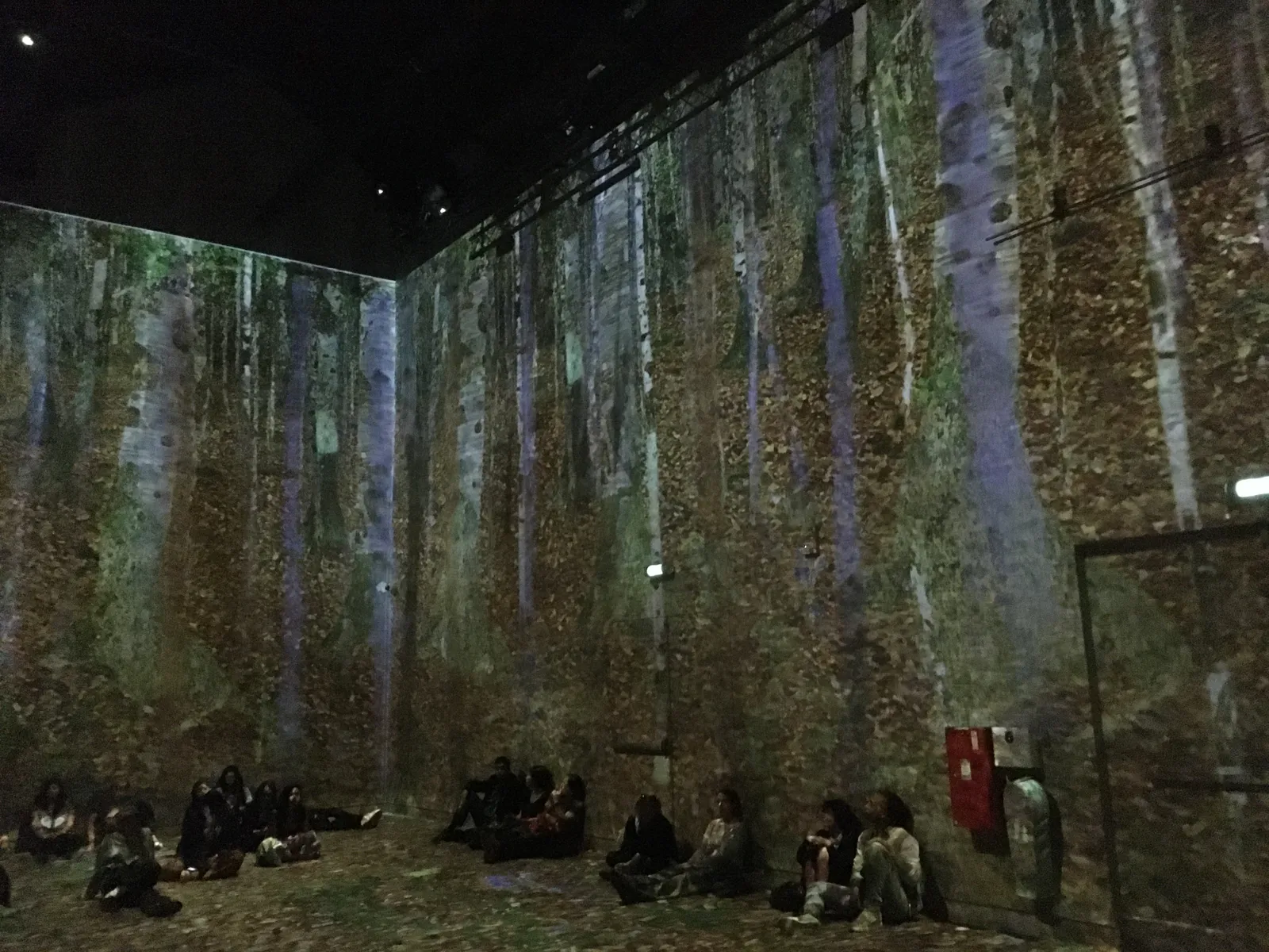 Immersive Birch Forest Projection