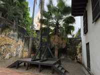 Guillotine Reconstruction