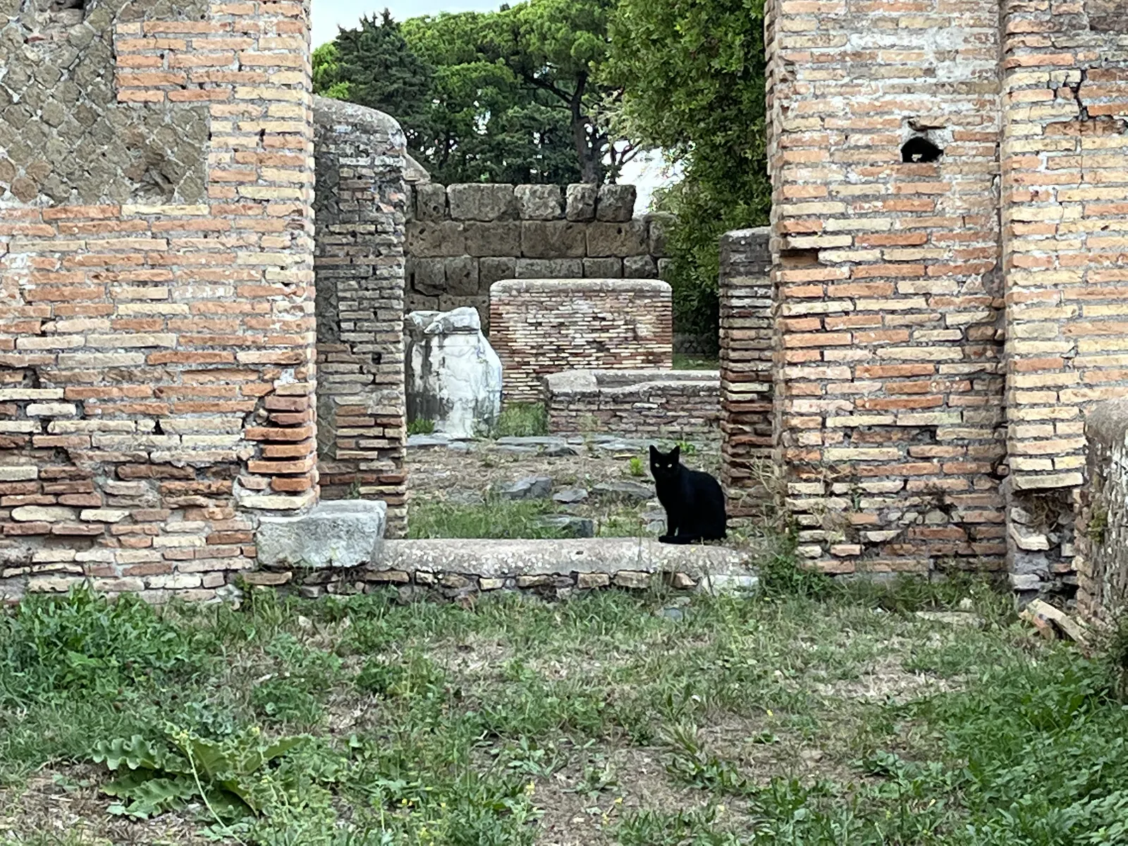 Ruins with Statue Fragment and Cat
