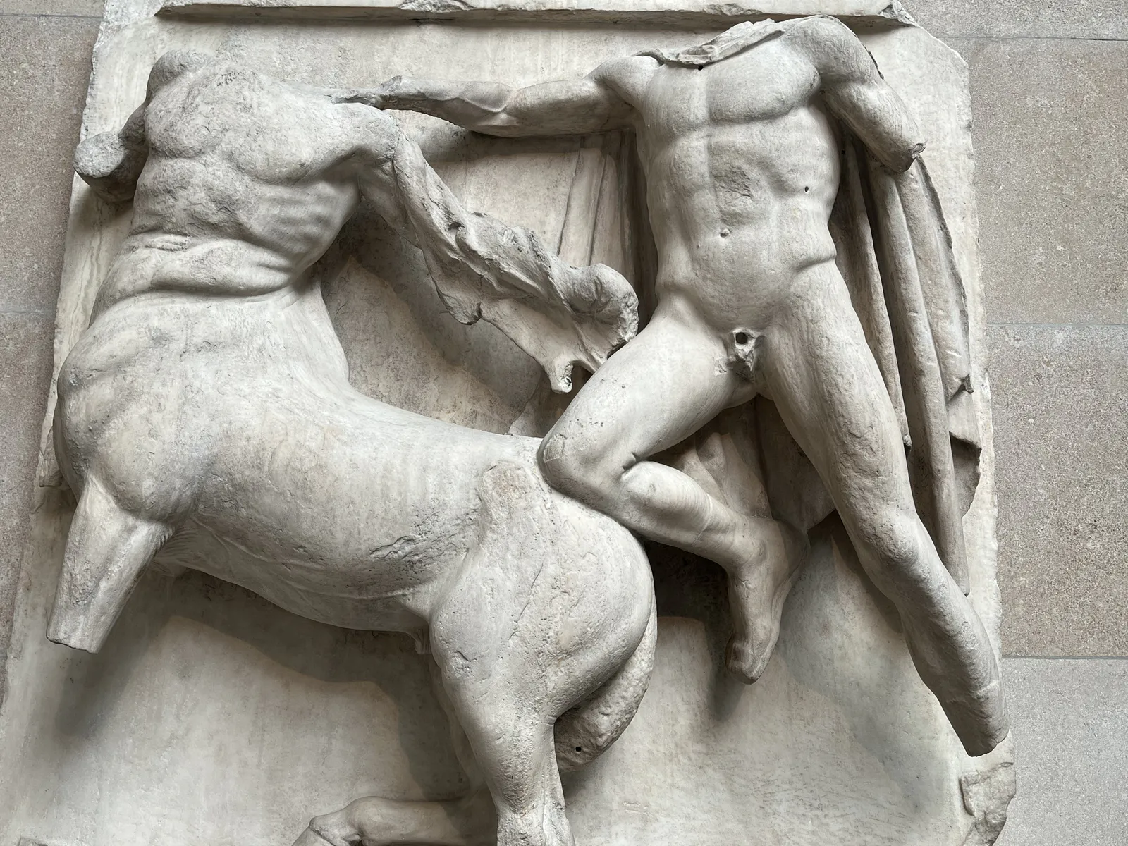 Centaur Resists Lapith