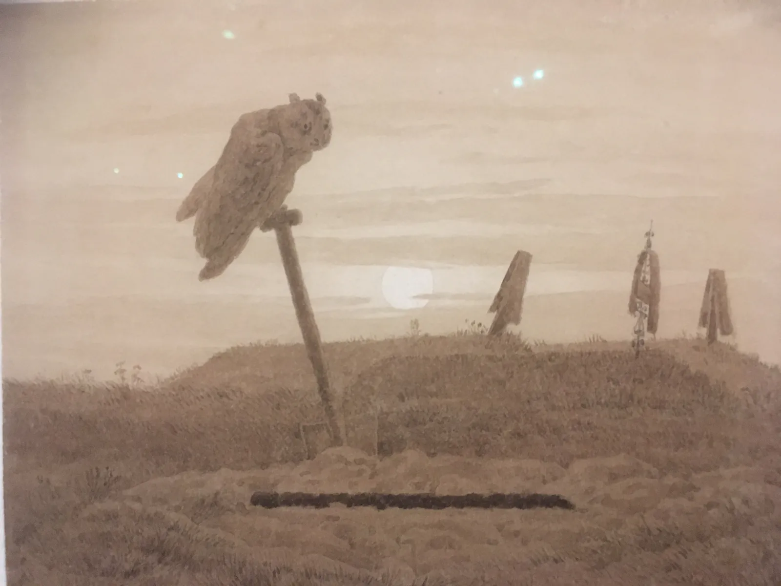 Owl on a Grave