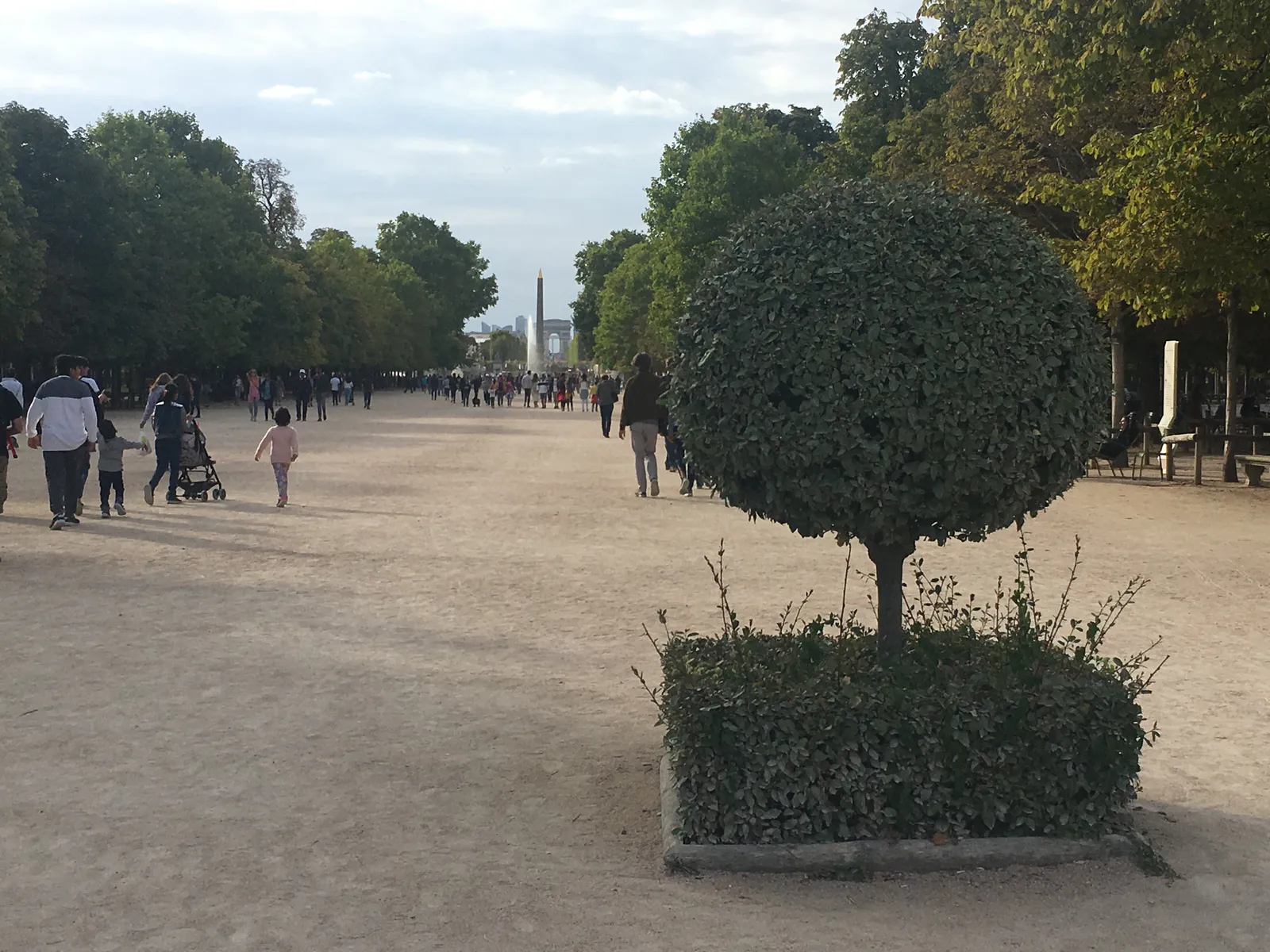 Jardin des Tuileries