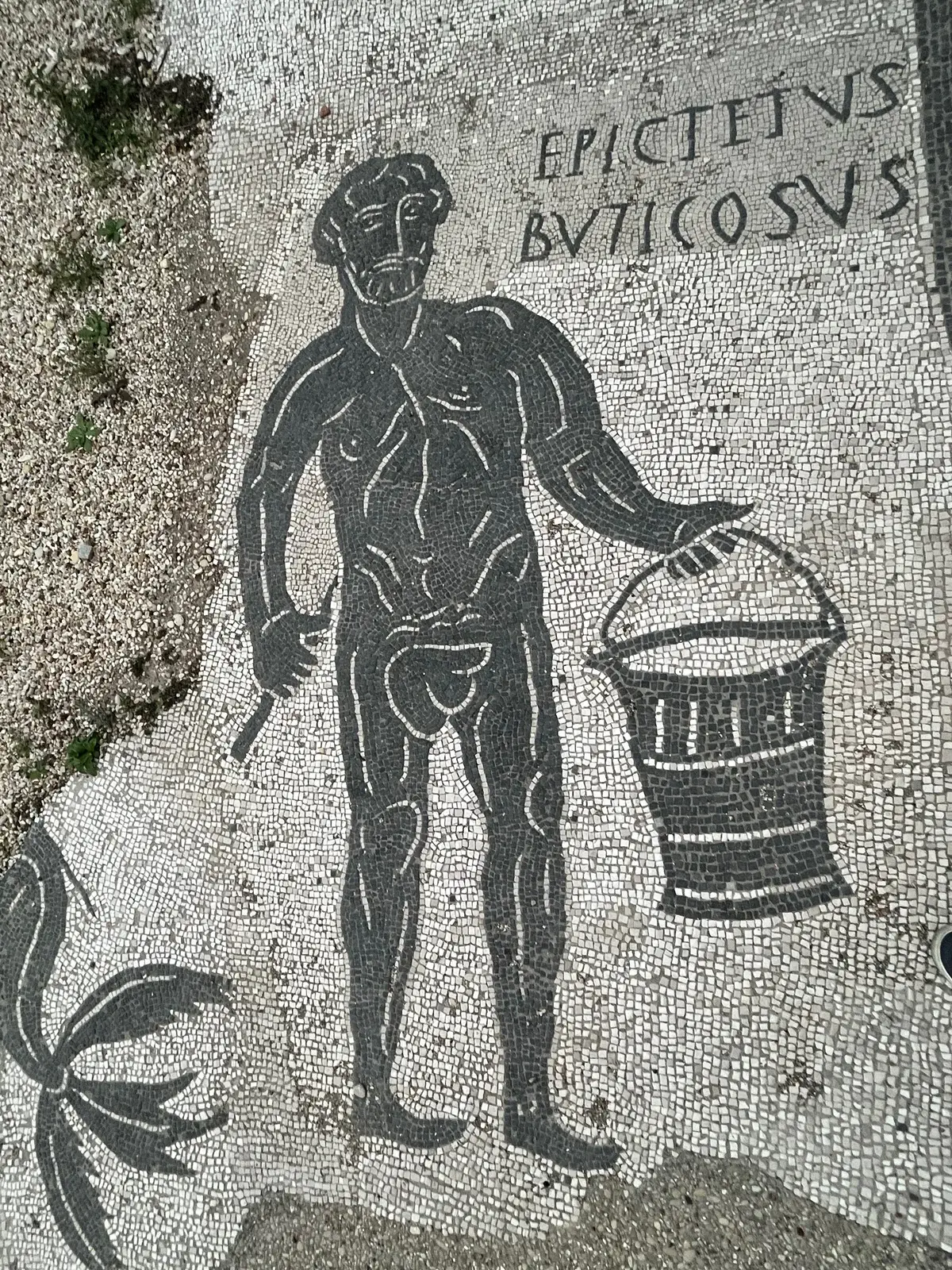 Epictetus Buticosus with Bathing Tools