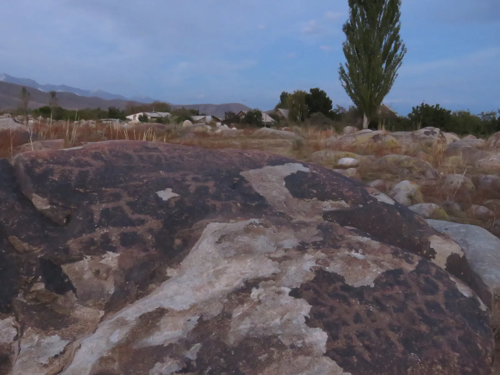 狩猟場面のペトログリフ