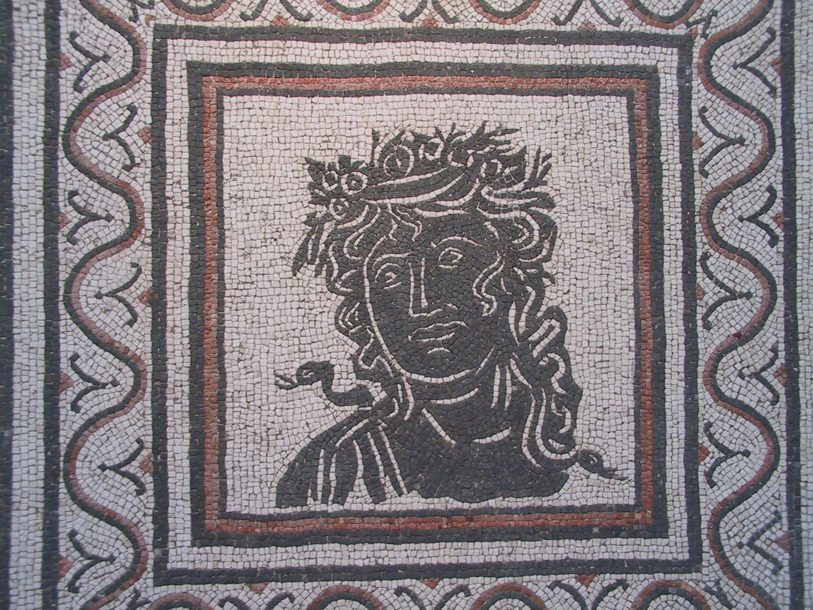 Bacchus