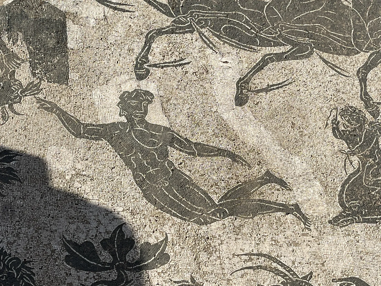 포세이돈 수행단의 남성 수영자