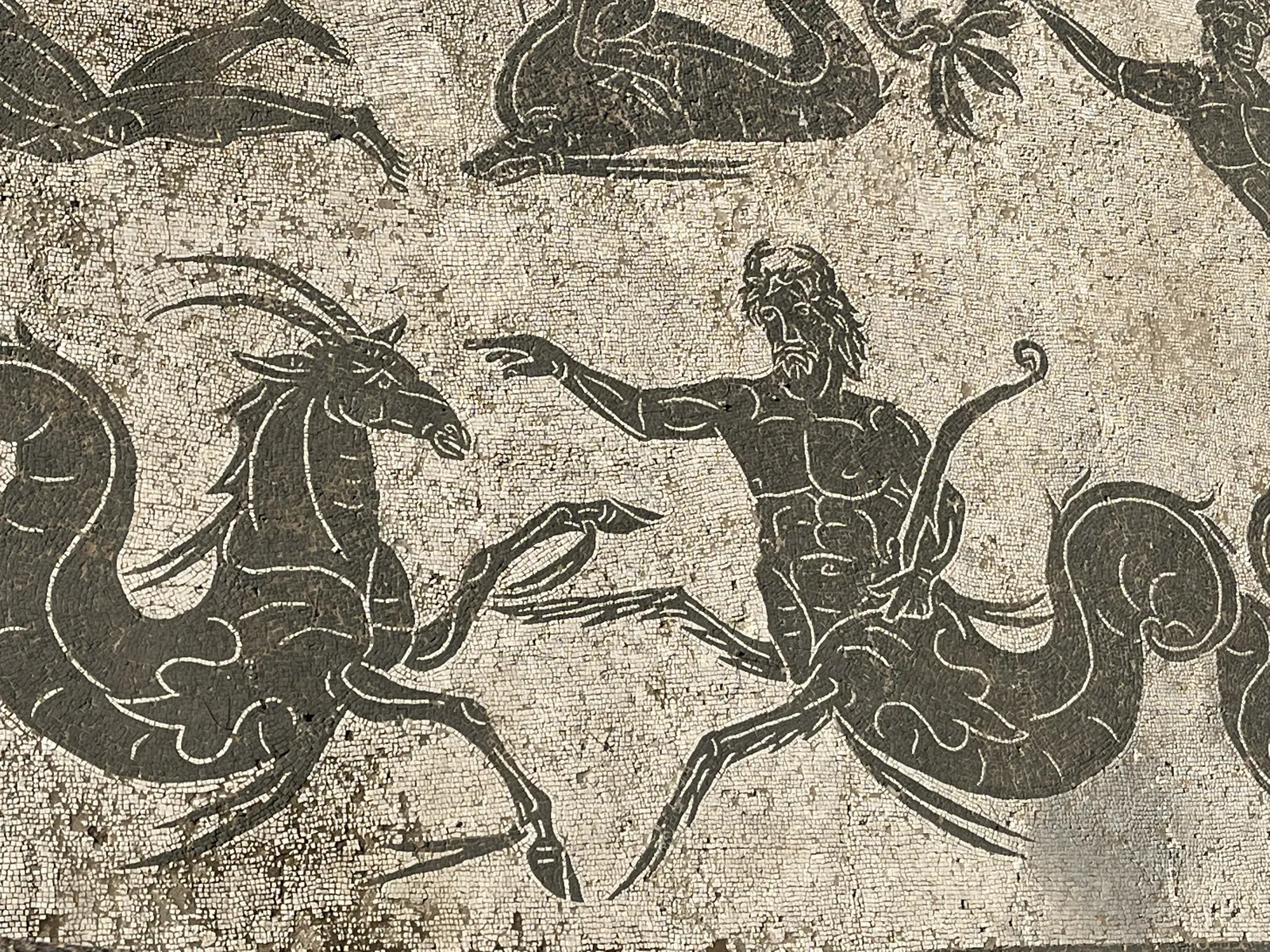 Sea-Goat and Marine Deity