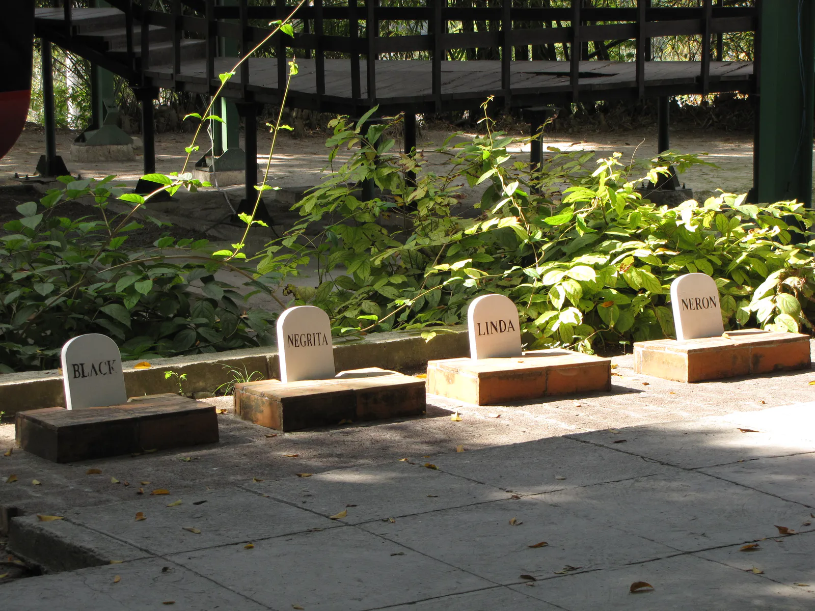 Graves of Hemingway's Beloved Dogs