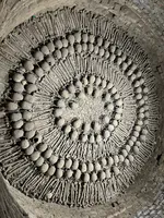 Catacombs of Museo Convento San Francisco