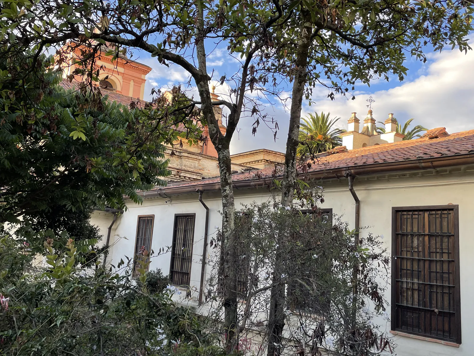 Museo Colonial Courtyard