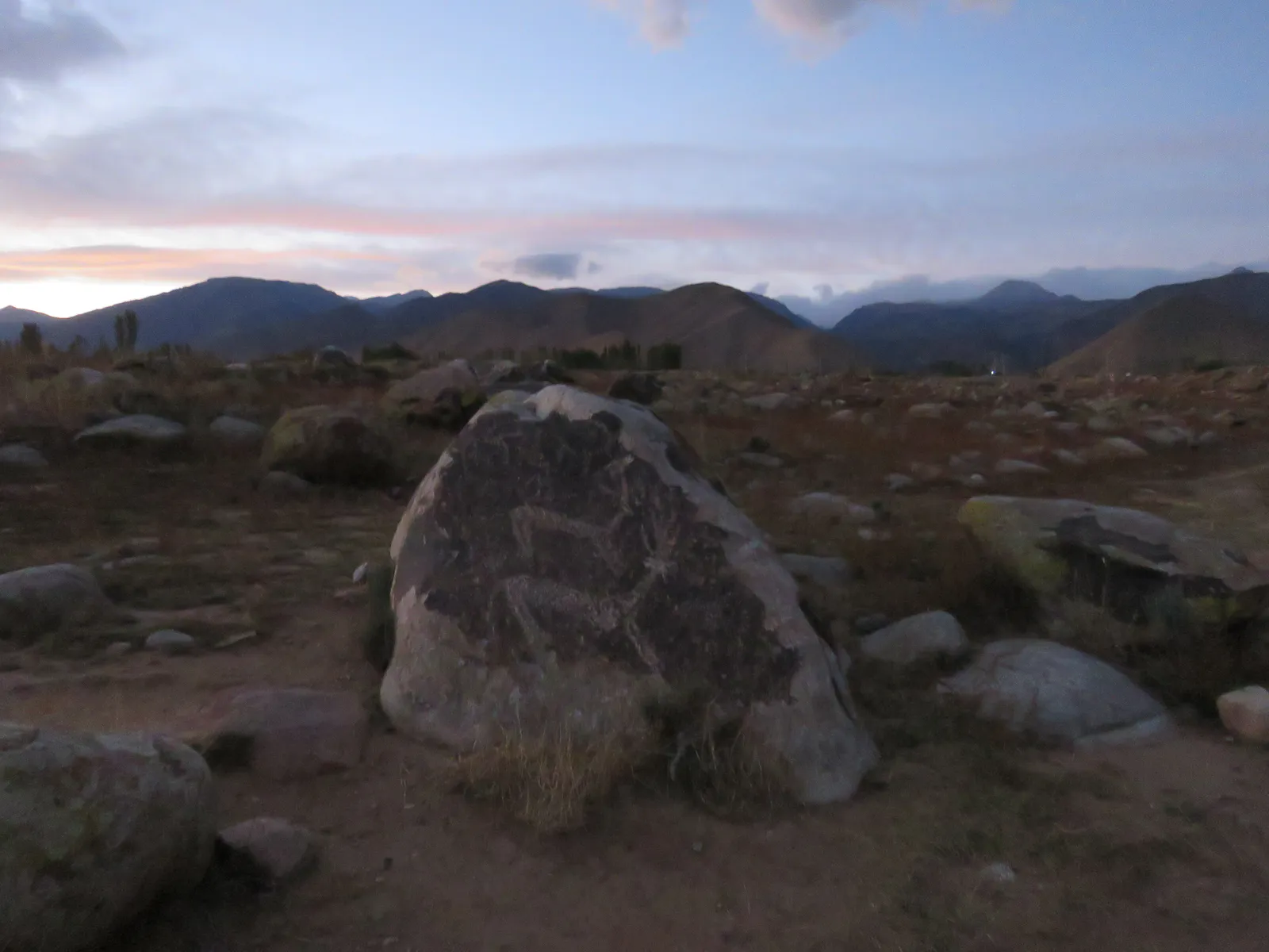 アイベックスと太陽文様の岩絵