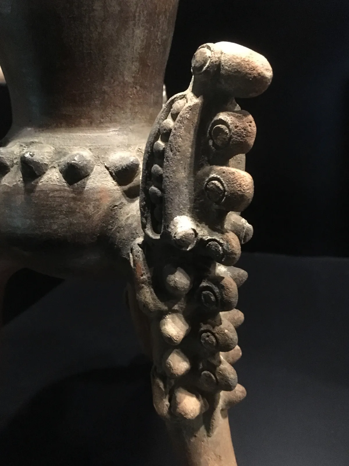 Guanacaste–Nicoya Crocodilian Leg Detail (detail)