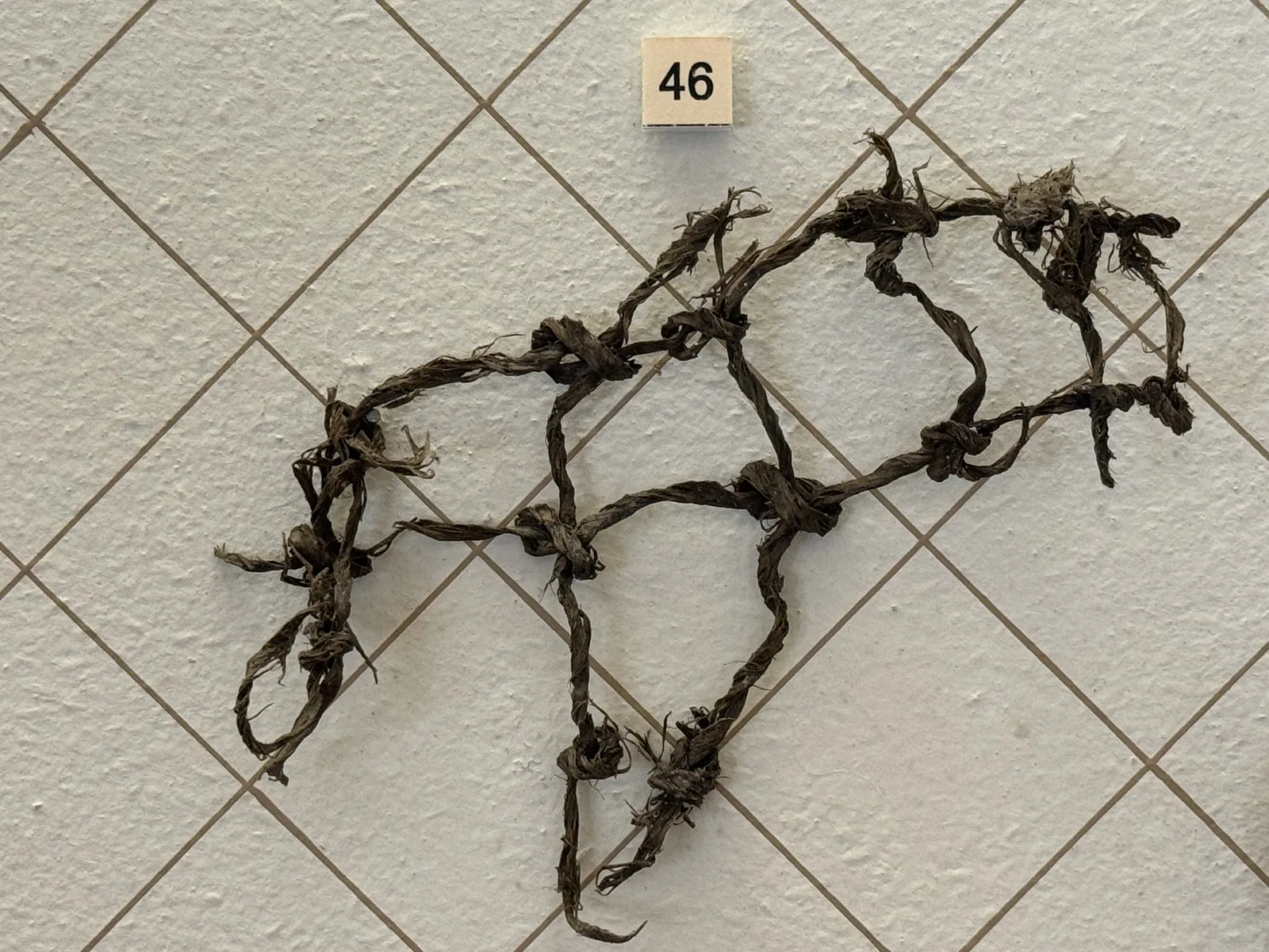 Medieval Fishing Net Fragment
