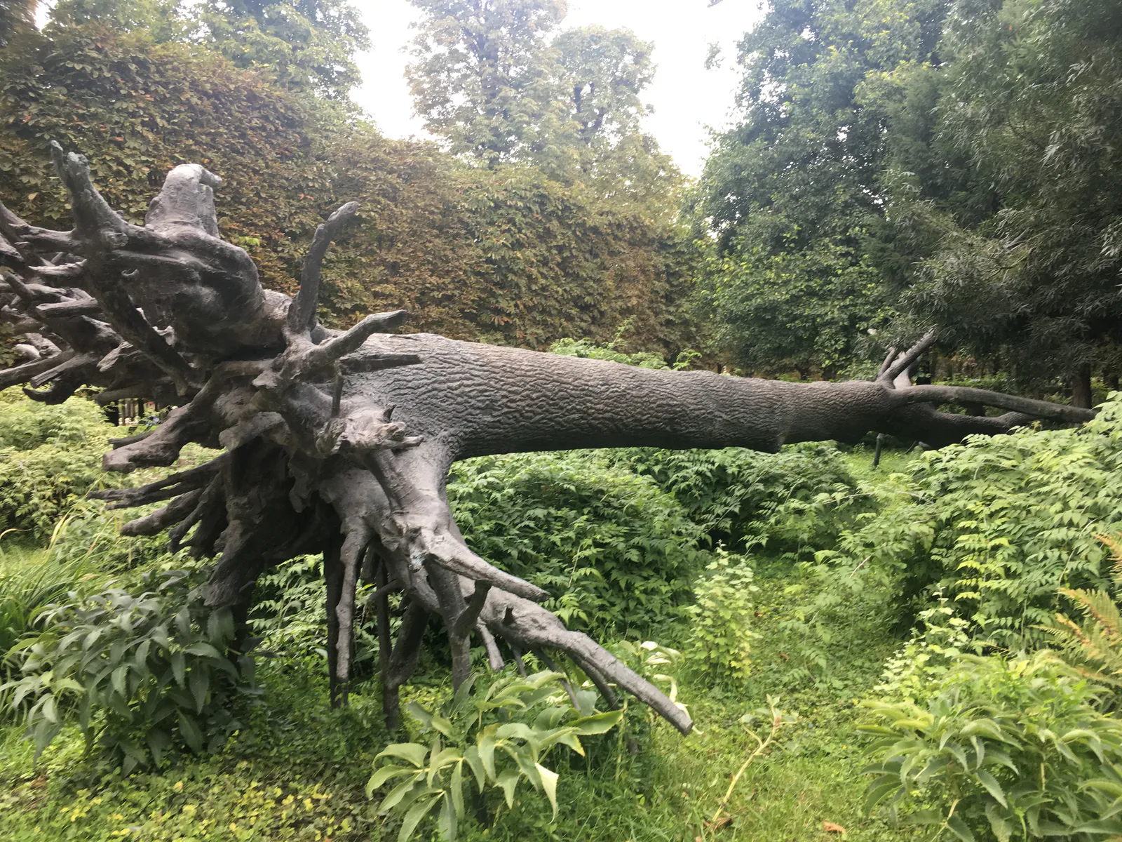 チュイルリー庭園