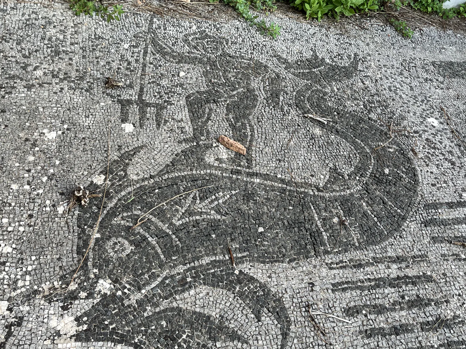 Marine Deity on a Sea Creature