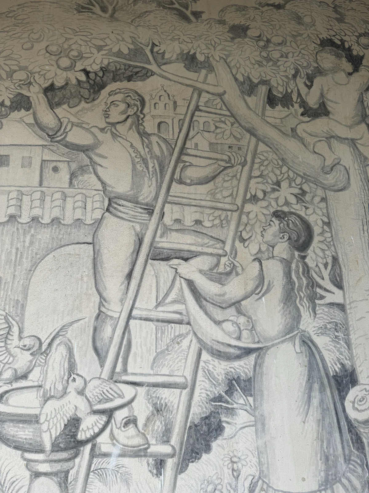 Сбор фруктов