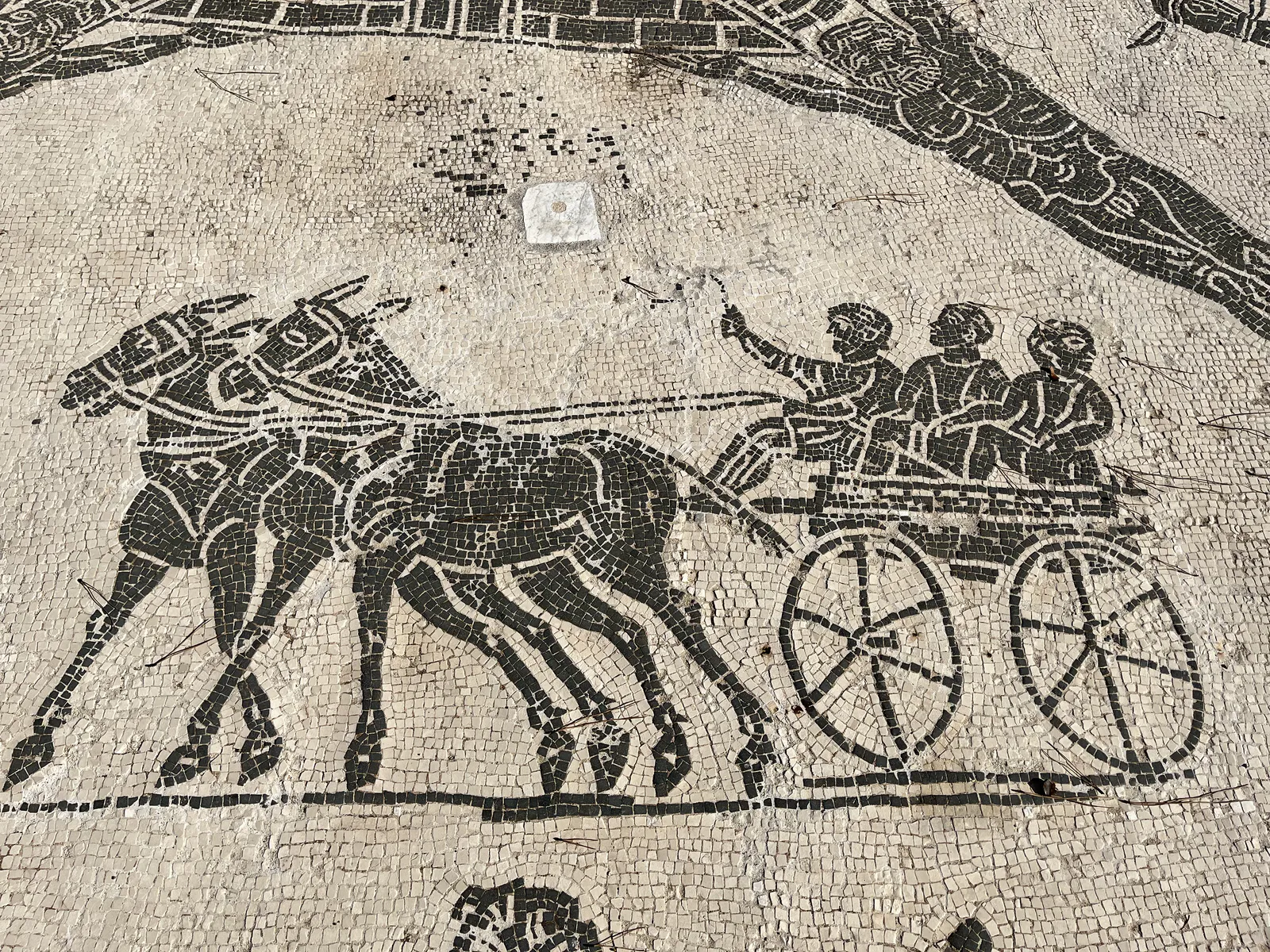 Mule Cart with Passengers